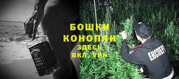 дмт Бородино