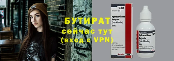 дмт Бородино