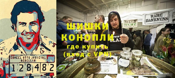 дмт Бородино
