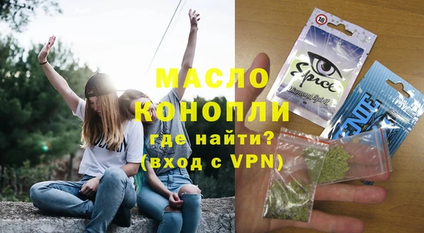 дмт Бородино
