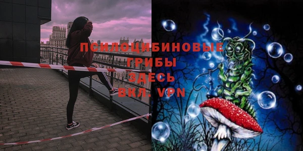 дмт Бородино
