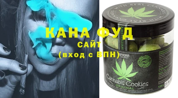 дмт Бородино