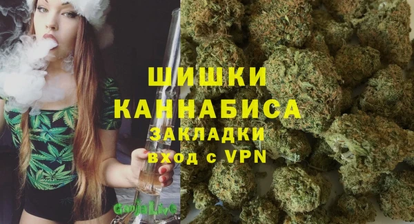 дмт Бородино