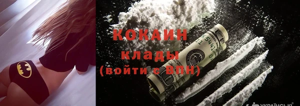 дмт Бородино