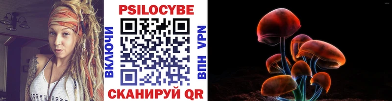 купить  цена  Новосиль  Псилоцибиновые грибы Magic Shrooms 